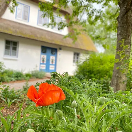 Achtern Diek Haus 13b 3 Zingst